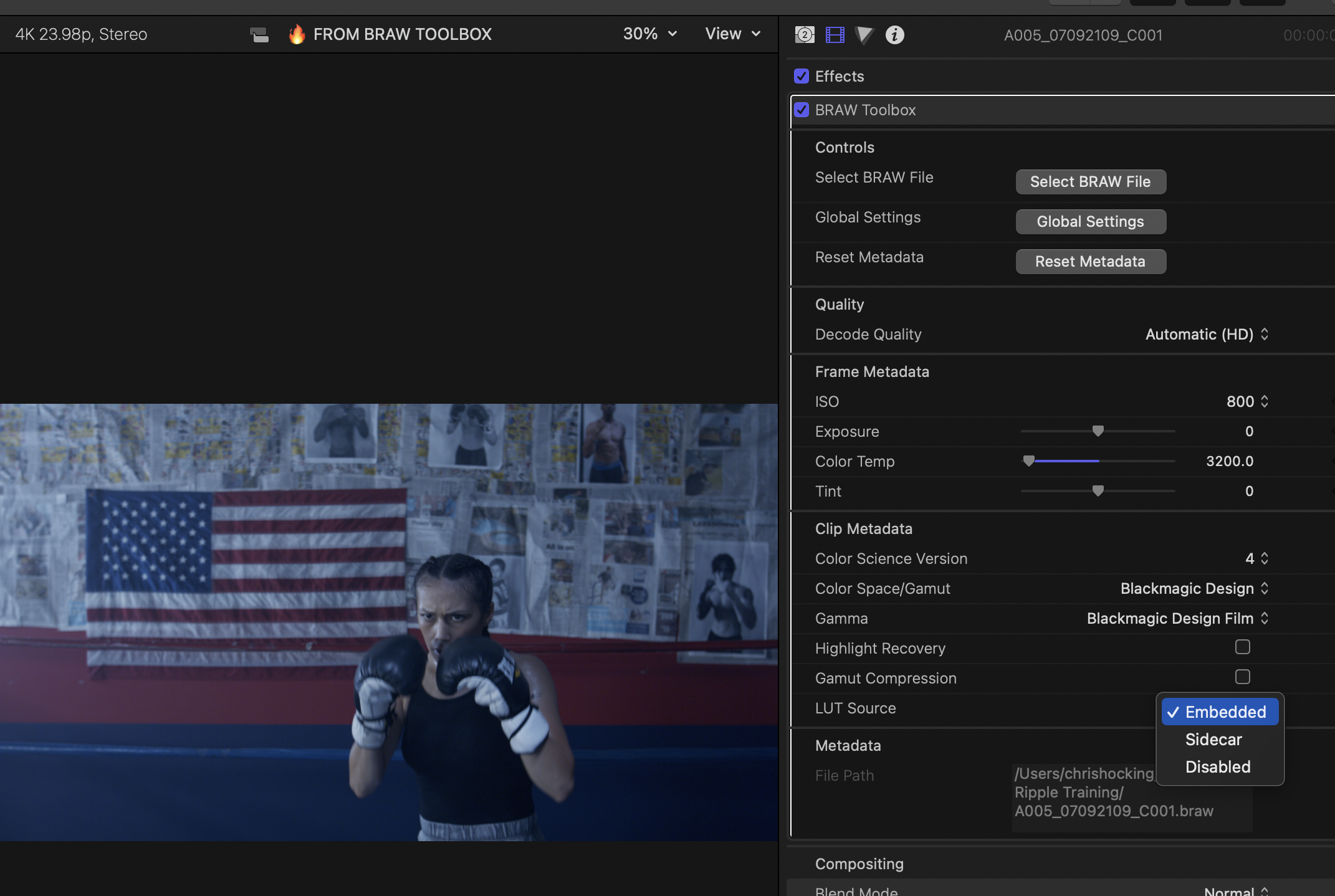 LUT Selection in the BRAW Toolbox Workflow Extension